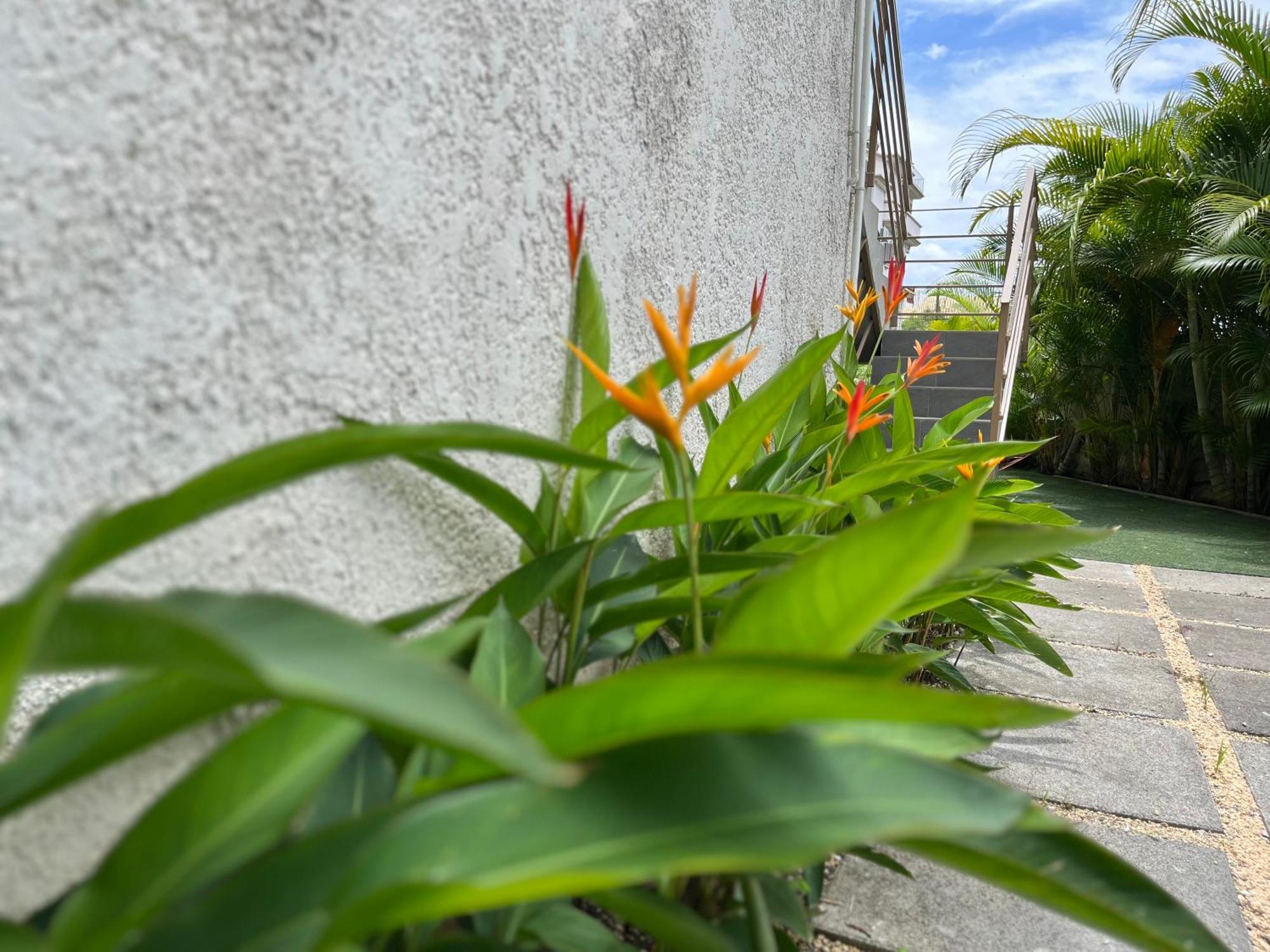 Seasons Break Pereybere Apartment